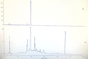 321654888_300.jpg