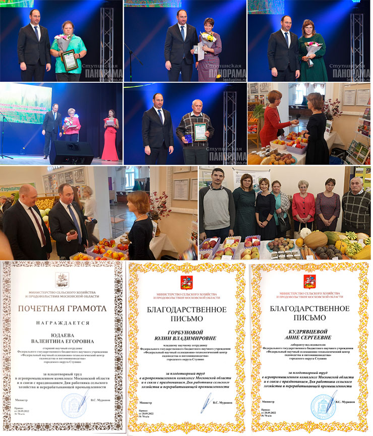 Collage stupino-oktober