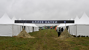 DSC 50562 300