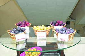 DSC_5326_копия.jpg