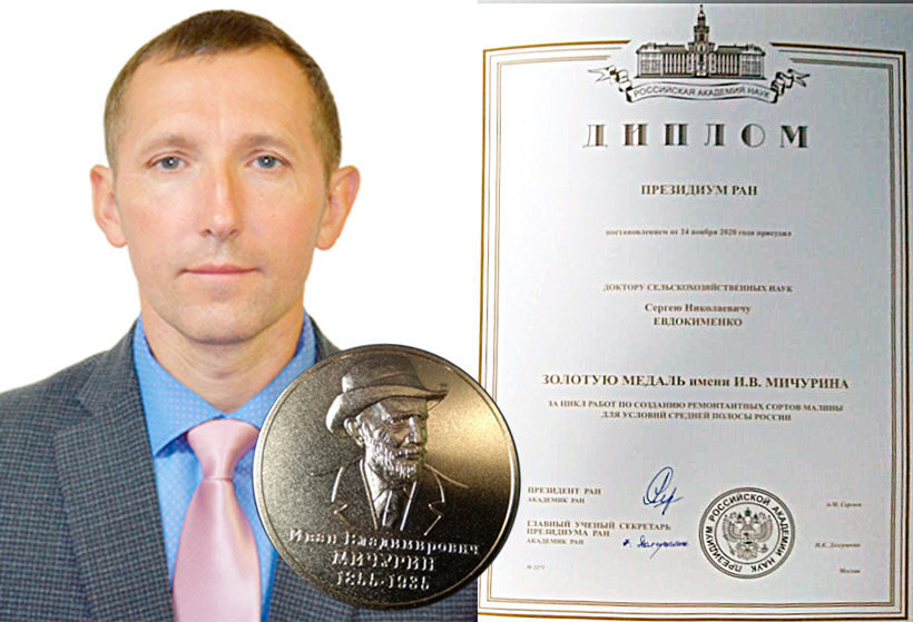 Evdokimenko