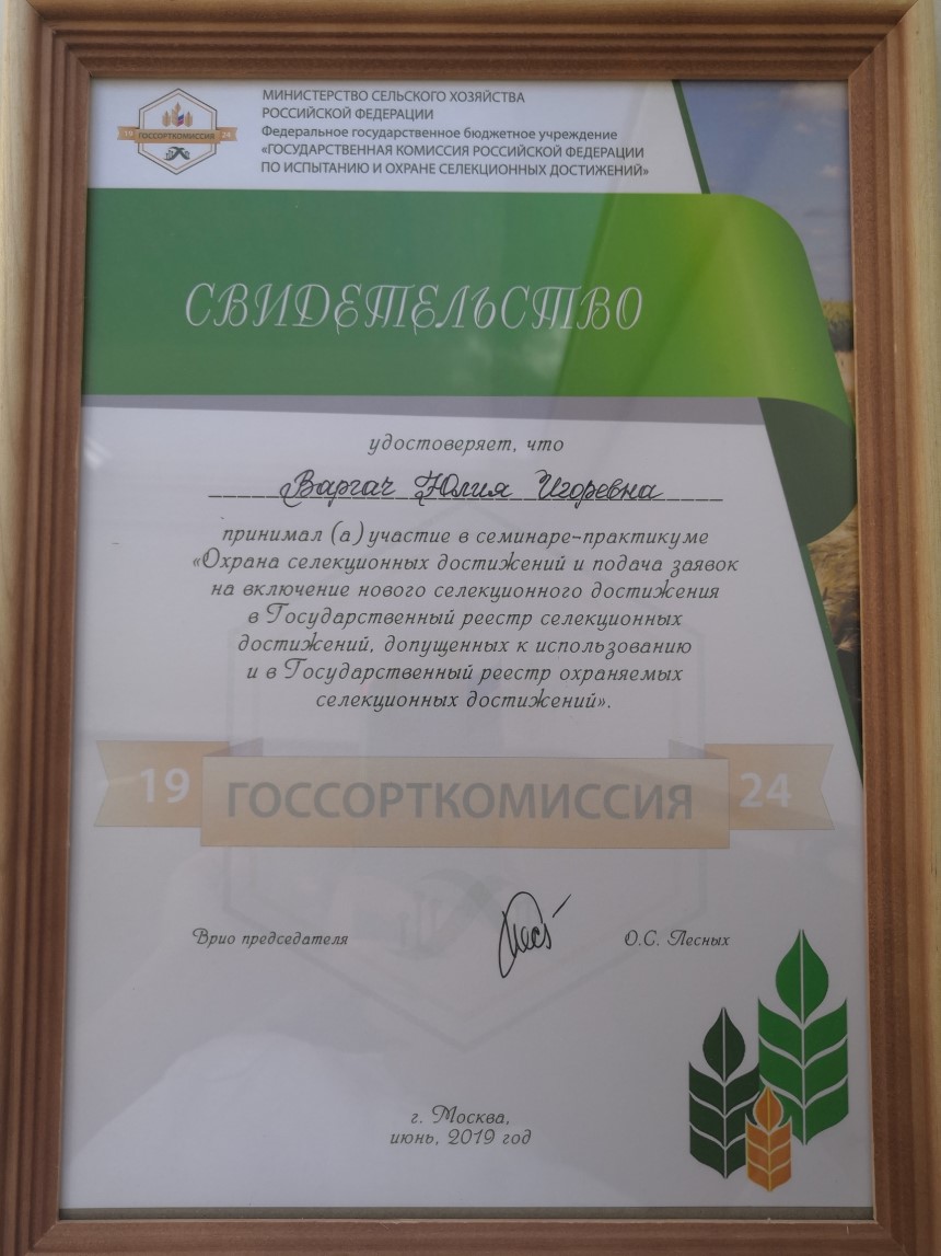 IMG1-2