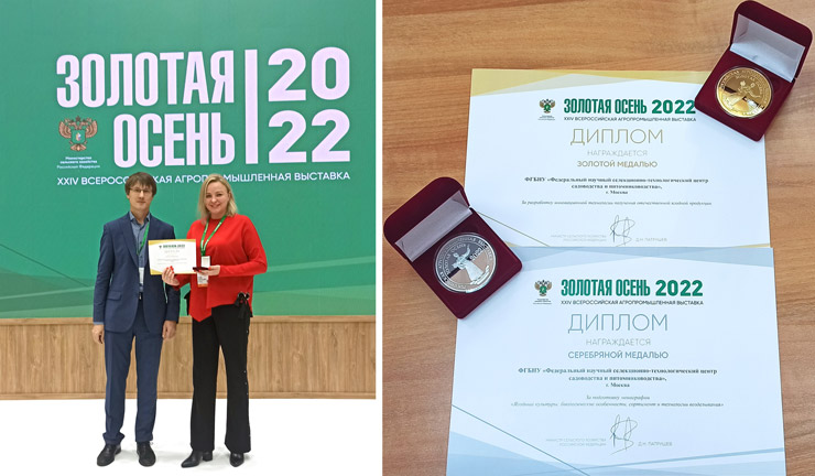 Zolotaya-osen