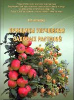 kichina_book