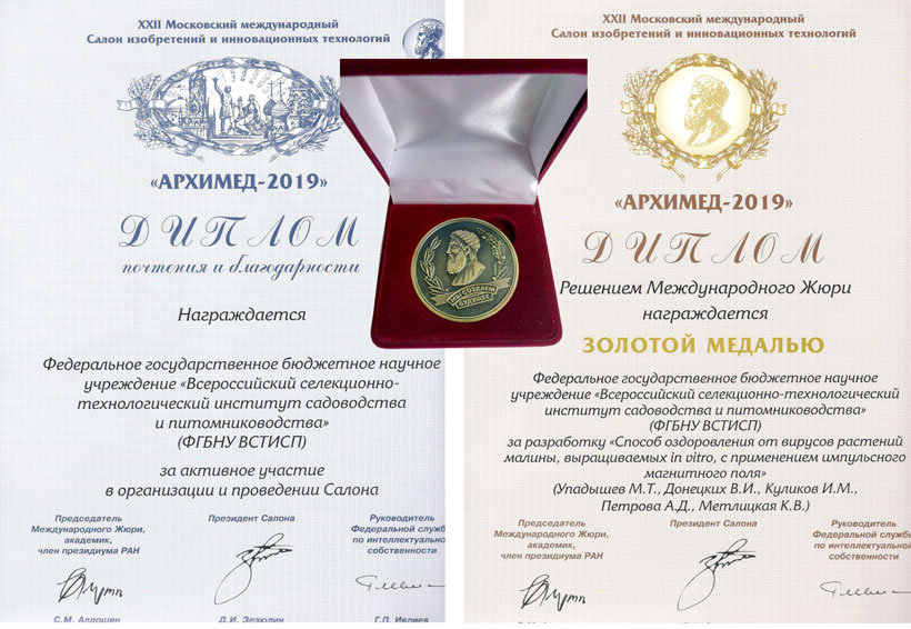Дипломы