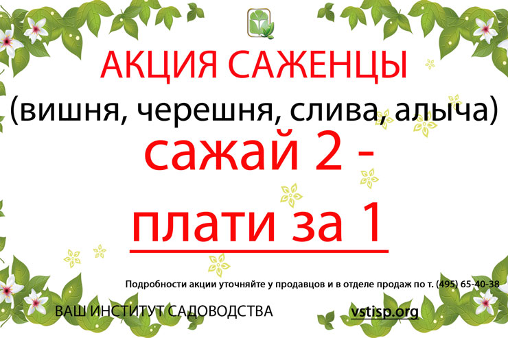 Сажай2 Покупай1