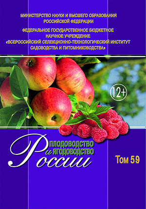 том59  сайт